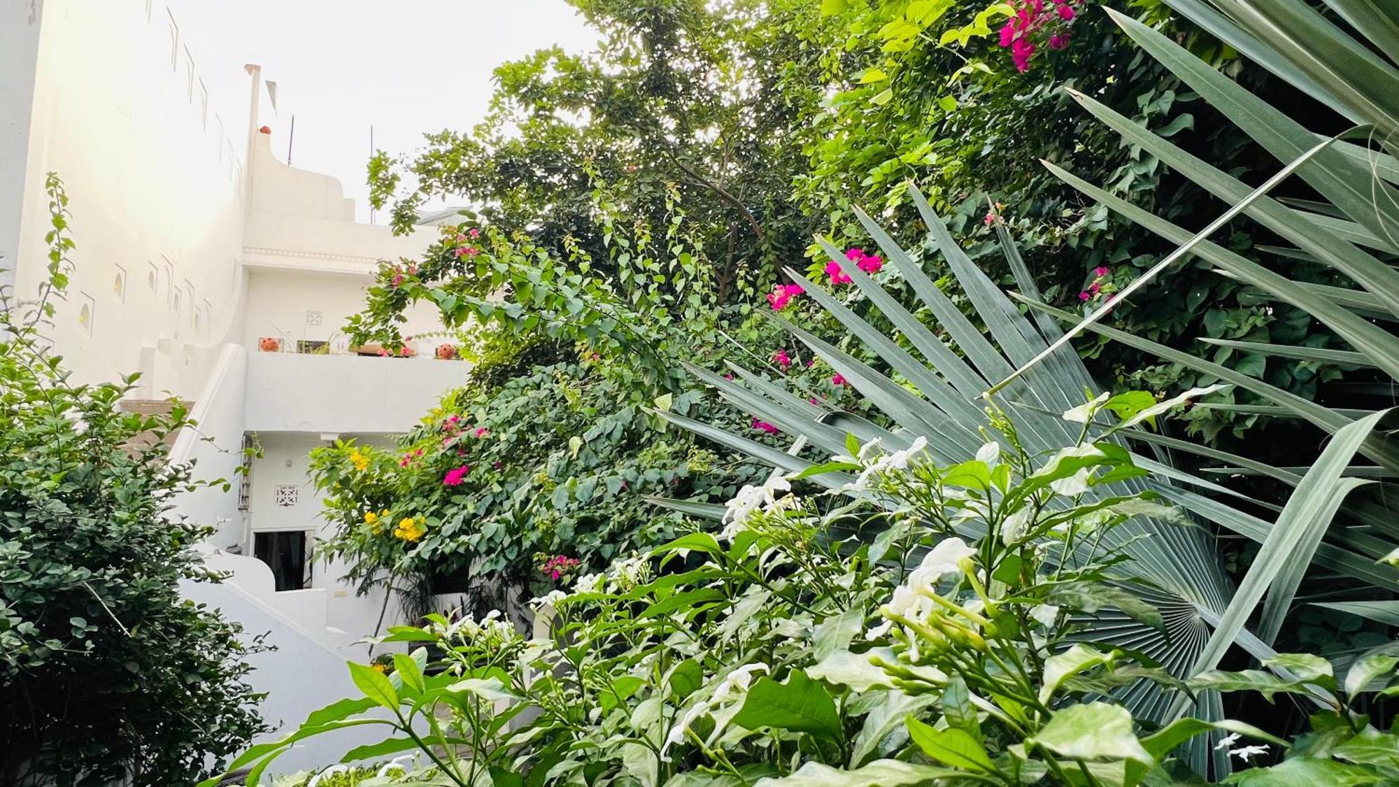 Mosaics Guest House Jaipur Ngoại thất bức ảnh