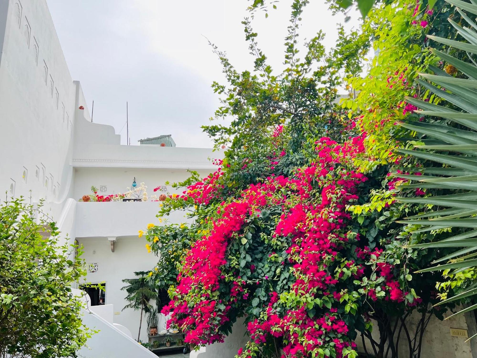 Mosaics Guest House Jaipur Ngoại thất bức ảnh