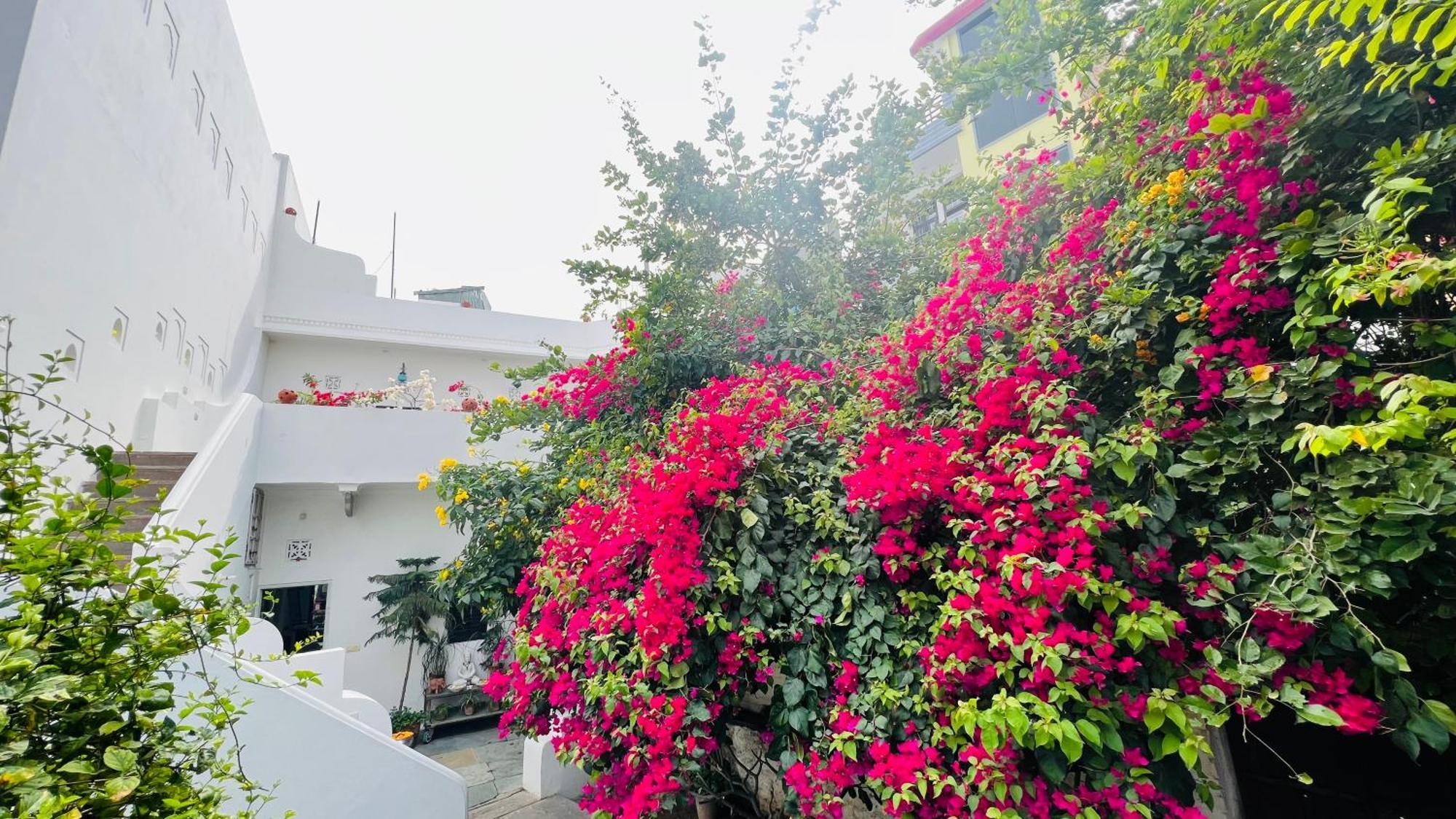 Mosaics Guest House Jaipur Ngoại thất bức ảnh