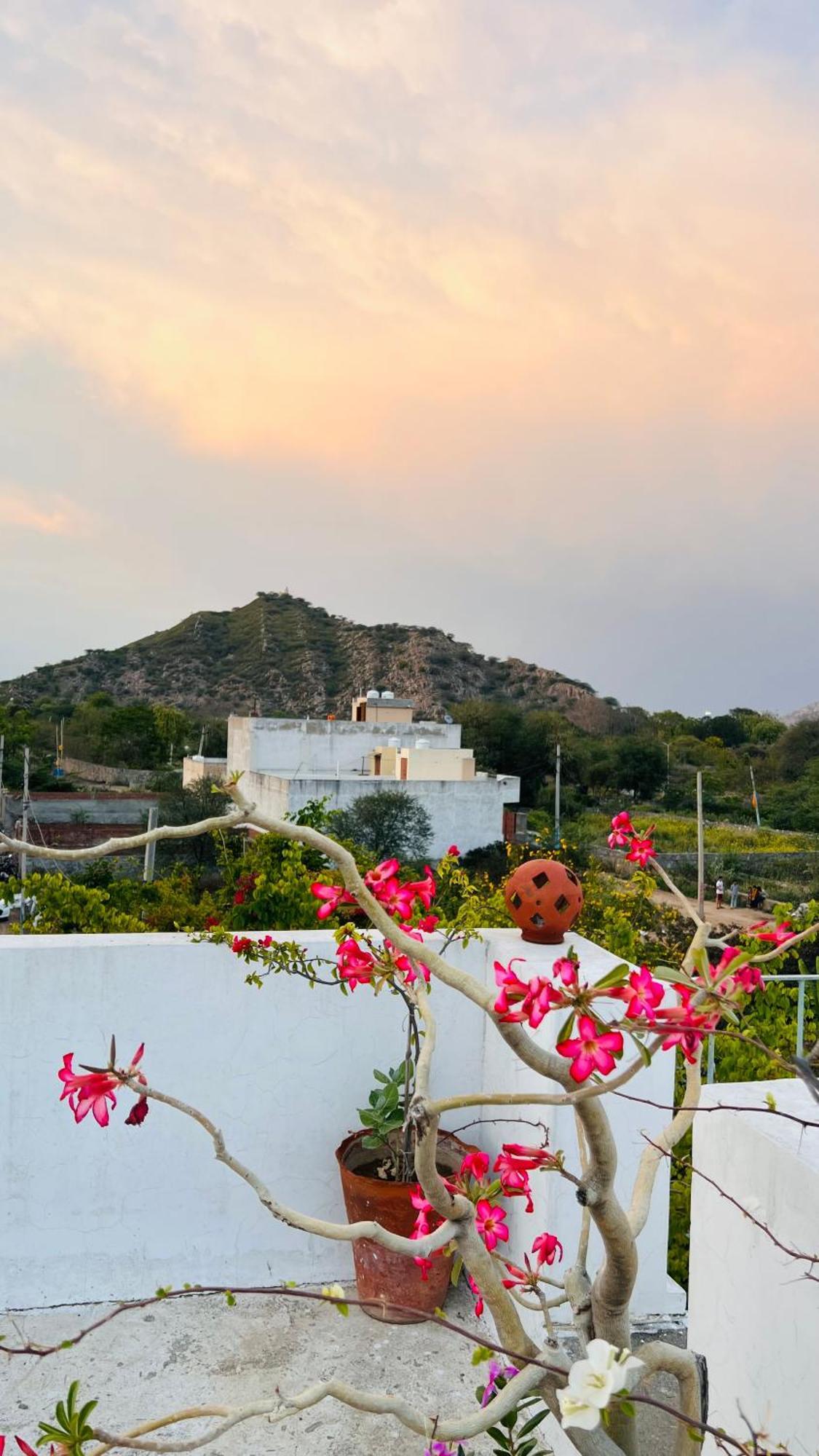 Mosaics Guest House Jaipur Ngoại thất bức ảnh