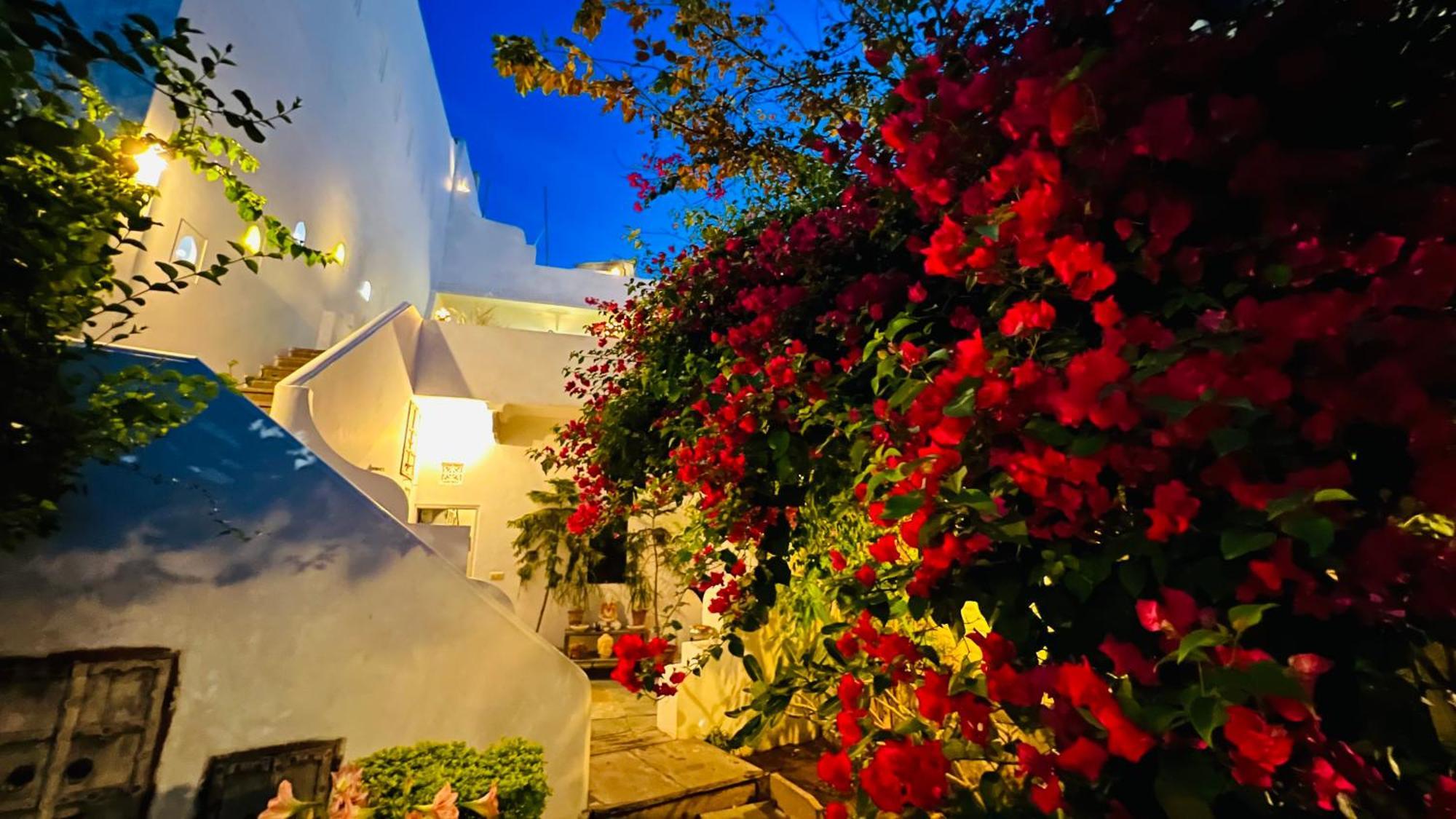 Mosaics Guest House Jaipur Ngoại thất bức ảnh